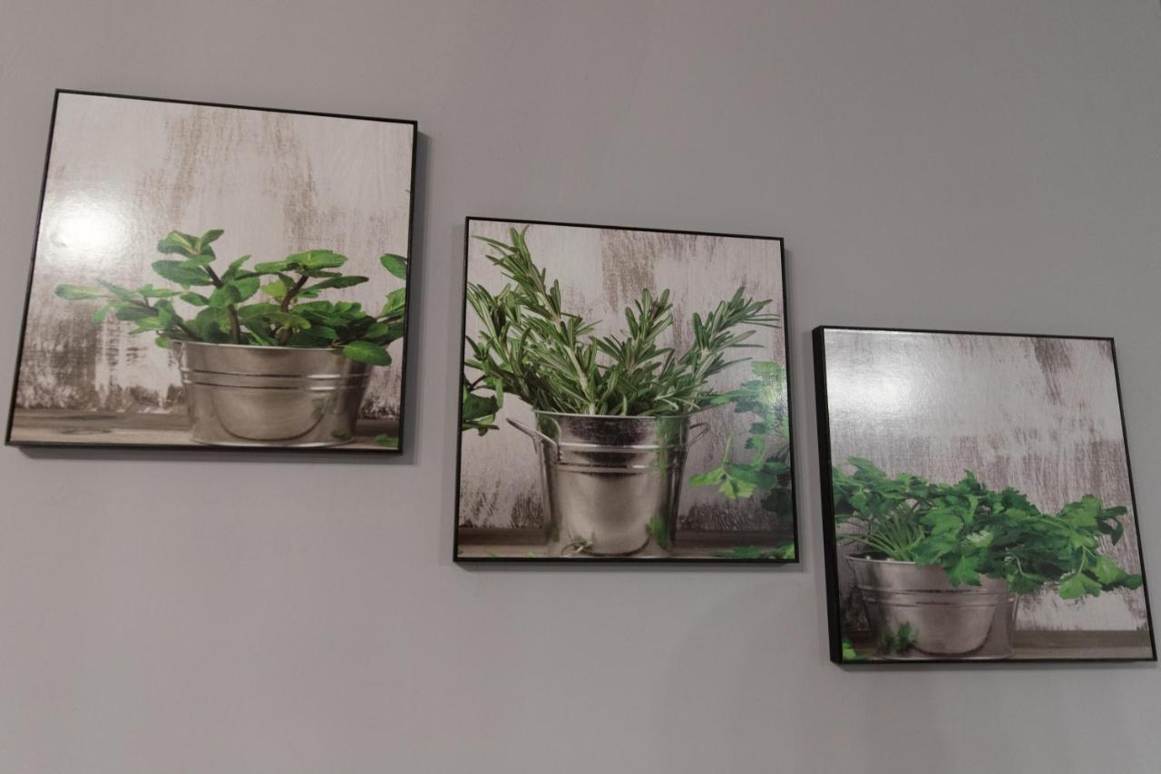 Apartament Marlenka نيسة المظهر الخارجي الصورة